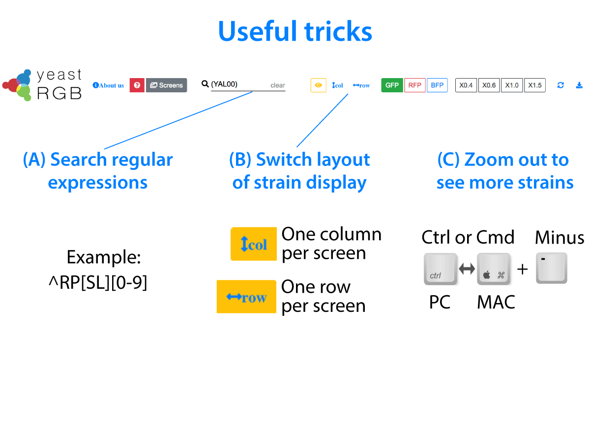 Useful Tricks