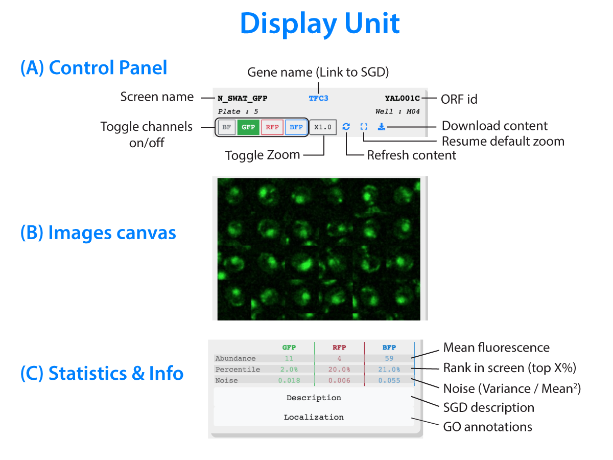 Display Unit